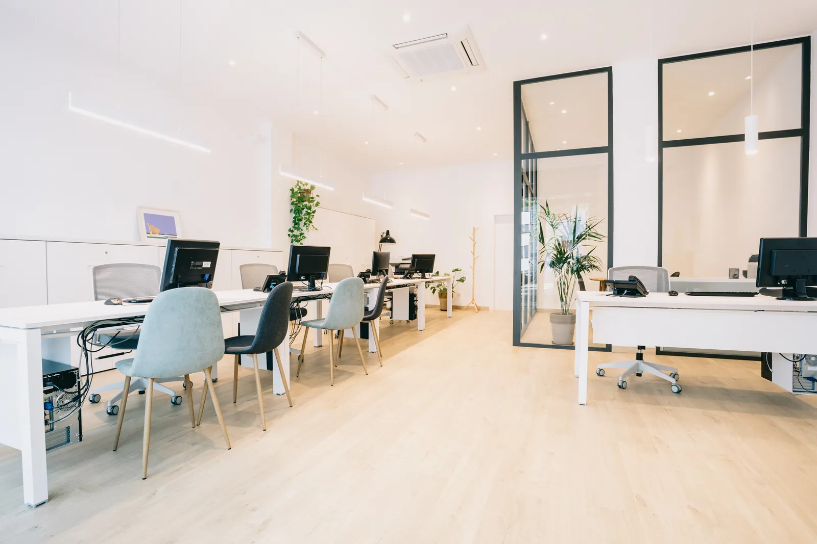 Sala principal de la oficina de Optimum, con las mesas de trabajo y el escaparate al fondo